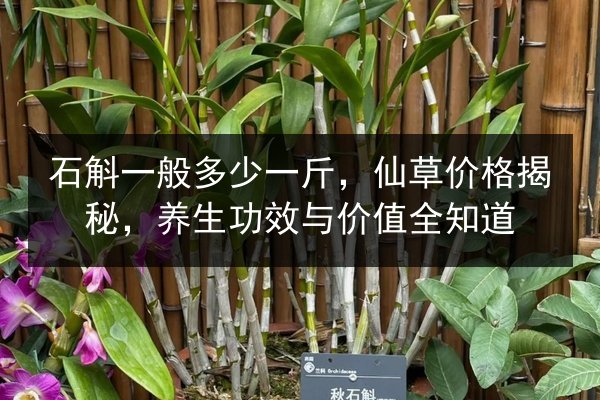 石斛一般多少一斤,仙草价格揭秘,养生功效与价值全知道