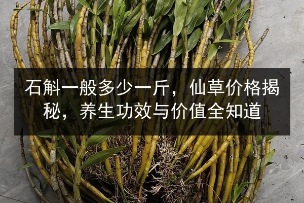 石斛一般多少一斤,仙草价格揭秘,养生功效与价值全知道