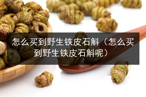 怎么买到野生铁皮石斛(怎么买到野生铁皮石斛呢)