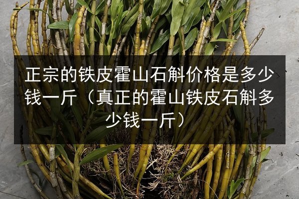 正宗的铁皮霍山石斛价格是多少钱一斤(真正的霍山铁皮石斛多少钱一斤)