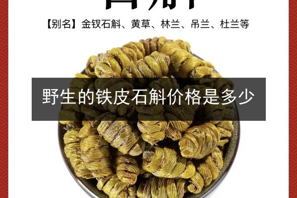 野生的铁皮石斛价格是多少