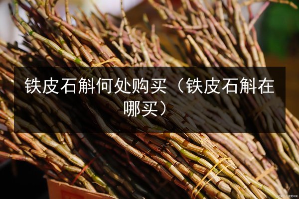 铁皮石斛何处购买(铁皮石斛在哪买)