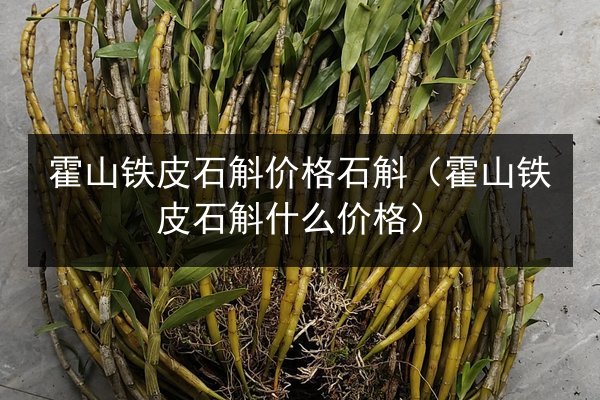 霍山铁皮石斛价格石斛（霍山铁皮石斛什么价格）