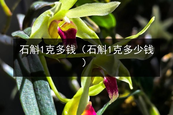 石斛1克多钱(石斛1克多少钱)