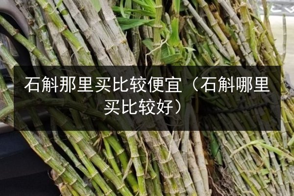 石斛那里买比较便宜(石斛哪里买比较好)