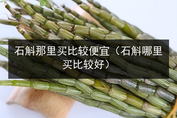 石斛那里买比较便宜(石斛哪里买比较好)