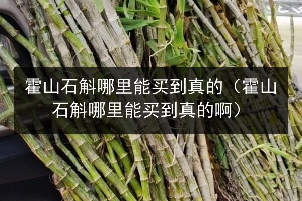 霍山石斛哪里能买到真的（霍山石斛哪里能买到真的啊）