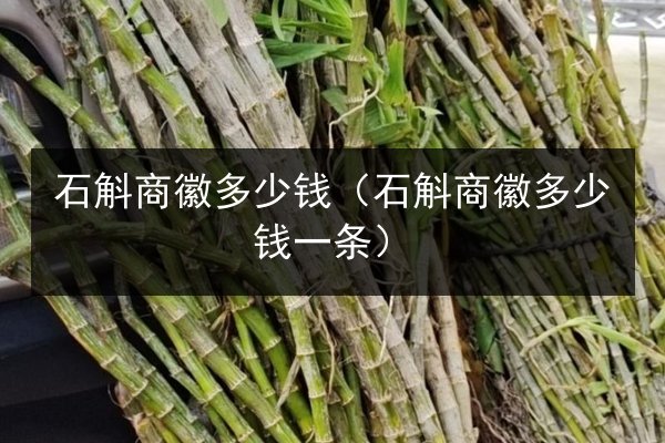 石斛商徽多少钱(石斛商徽多少钱一条)