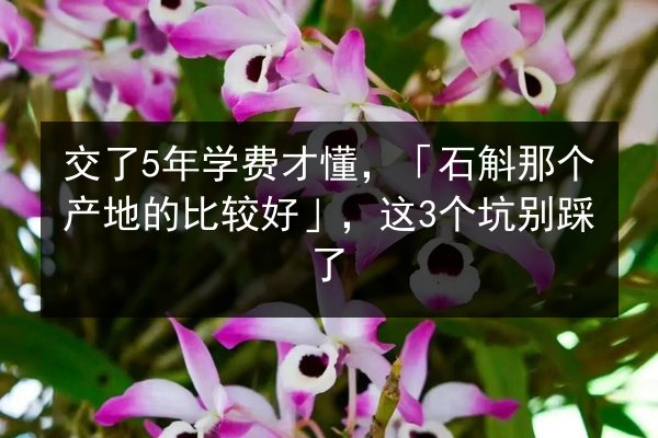 交了5年学费才懂,「石斛那个产地的比较好」,这3个坑别踩了