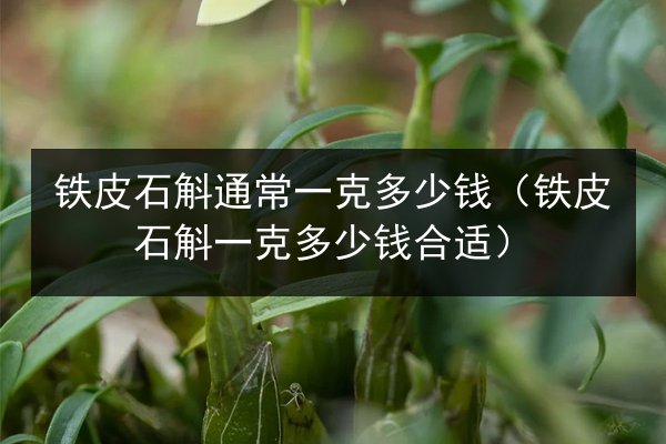 铁皮石斛通常一克多少钱（铁皮石斛一克多少钱合适）