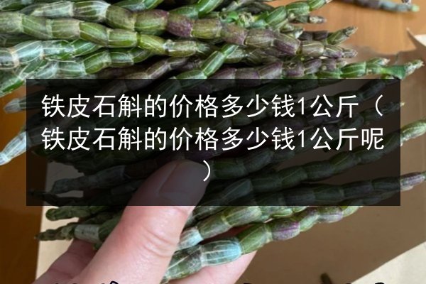 铁皮石斛的价格多少钱1公斤(铁皮石斛的价格多少钱1公斤呢)