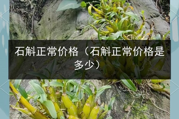 石斛正常价格(石斛正常价格是多少)