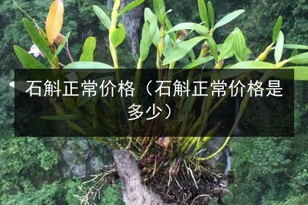石斛正常价格(石斛正常价格是多少)