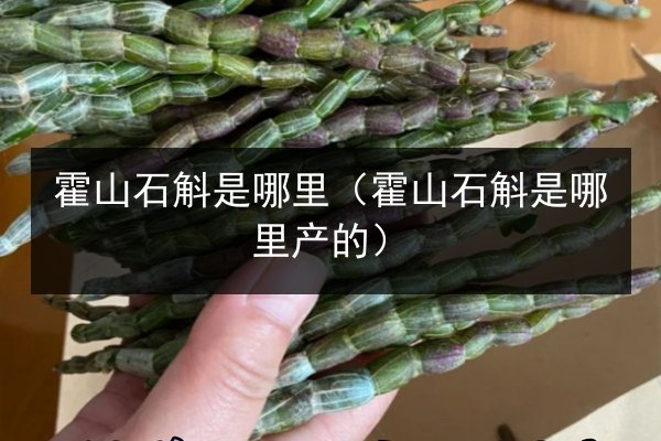 霍山石斛是哪里(霍山石斛是哪里产的)