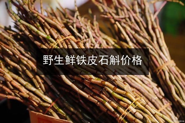 野生鲜铁皮石斛价格