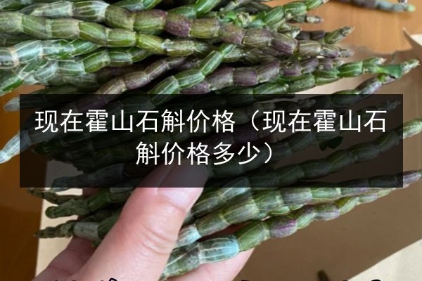 现在霍山石斛价格(现在霍山石斛价格多少)