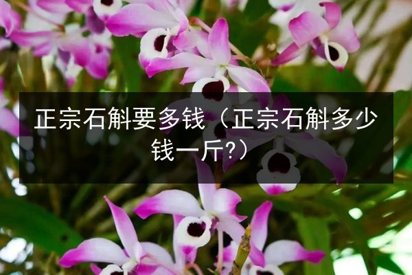 正宗石斛要多钱(正宗石斛多少钱一斤?)