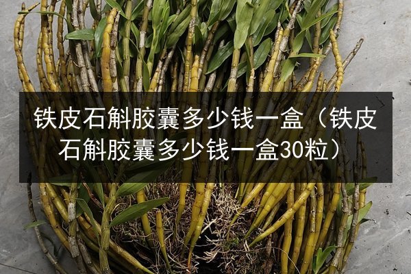 铁皮石斛胶囊多少钱一盒(铁皮石斛胶囊多少钱一盒30粒)