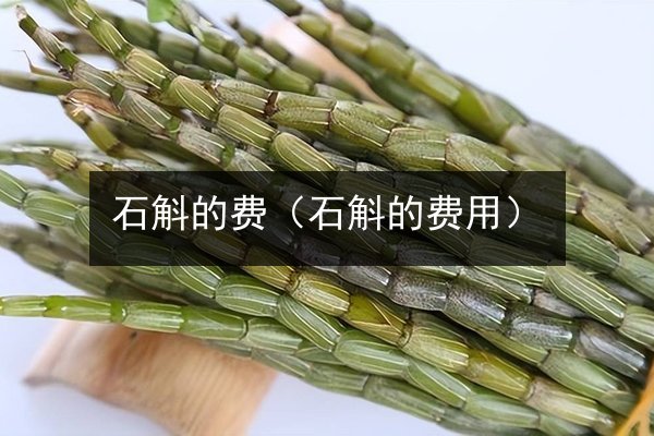 石斛的费(石斛的费用)