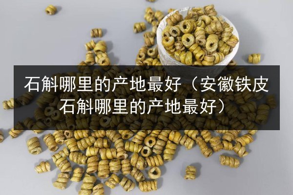 石斛哪里的产地最好（安徽铁皮石斛哪里的产地最好）