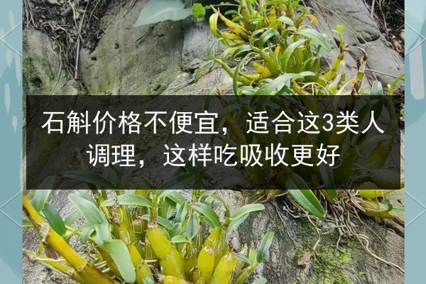 石斛价格不便宜,适合这3类人调理,这样吃吸收更好