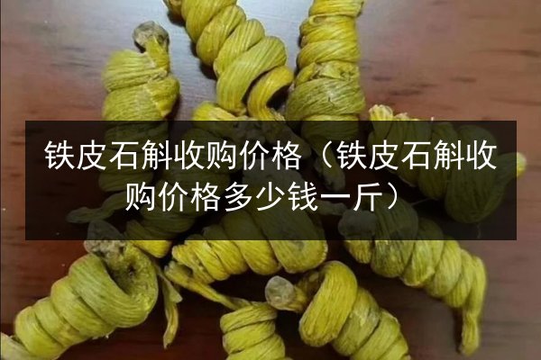 铁皮石斛收购价格(铁皮石斛收购价格多少钱一斤)