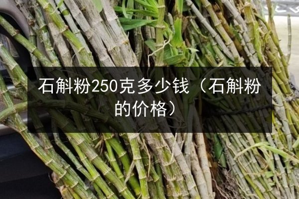石斛粉250克多少钱(石斛粉的价格)