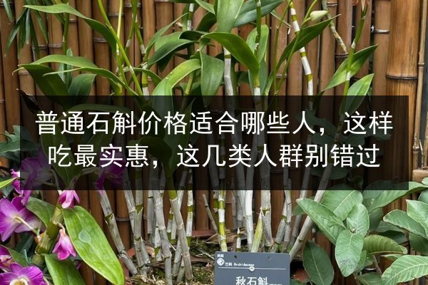 普通石斛价格适合哪些人,这样吃最实惠,这几类人群别错过