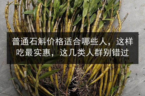 普通石斛价格适合哪些人,这样吃最实惠,这几类人群别错过