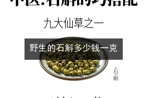 野生的石斛多少钱一克