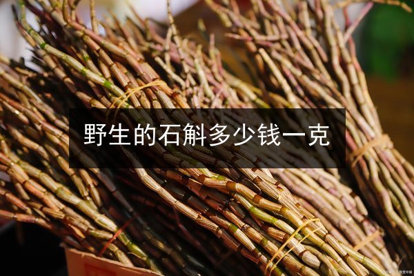 野生的石斛多少钱一克