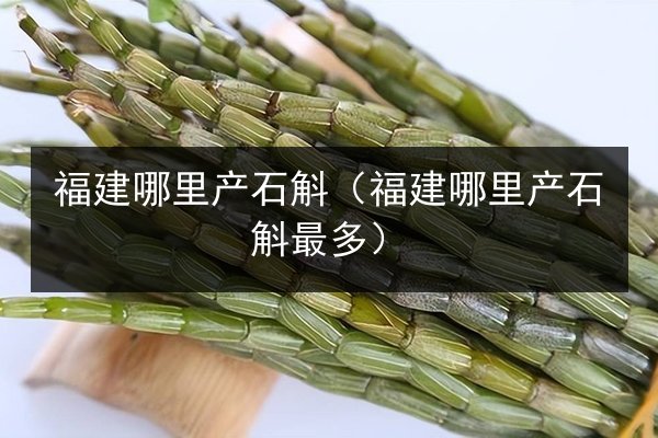 福建哪里产石斛(福建哪里产石斛最多)