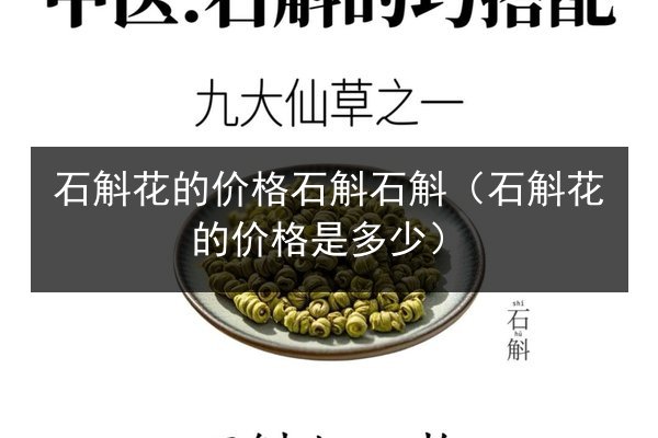 石斛花的价格石斛石斛(石斛花的价格是多少)