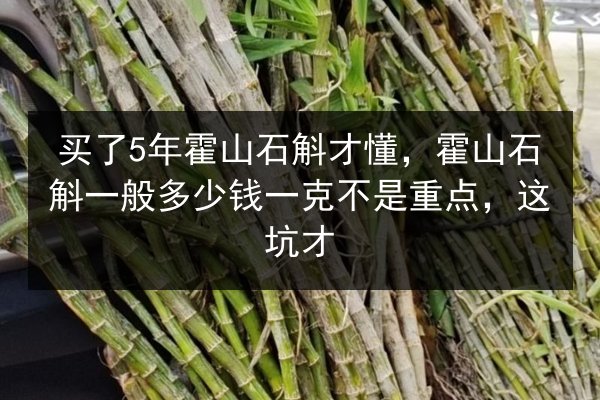 买了5年霍山石斛才懂,霍山石斛一般多少钱一克不是重点,这坑才