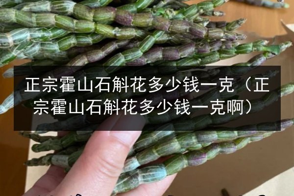 正宗霍山石斛花多少钱一克（正宗霍山石斛花多少钱一克啊）