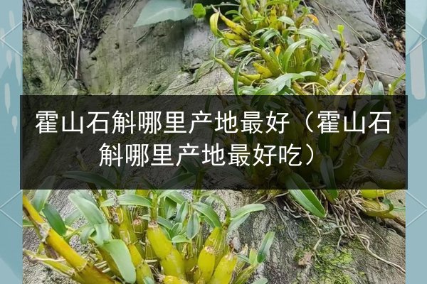 霍山石斛哪里产地最好(霍山石斛哪里产地最好吃)