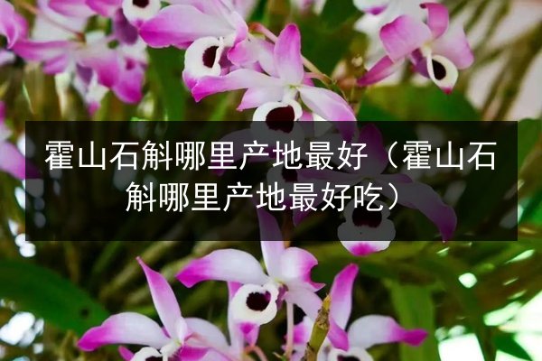 霍山石斛哪里产地最好(霍山石斛哪里产地最好吃)