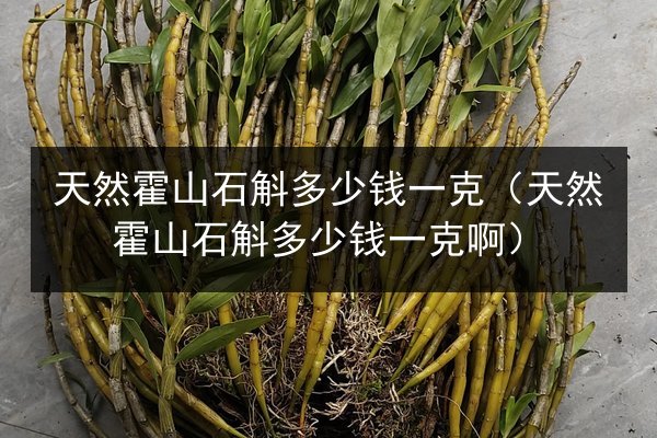 天然霍山石斛多少钱一克(天然霍山石斛多少钱一克啊)