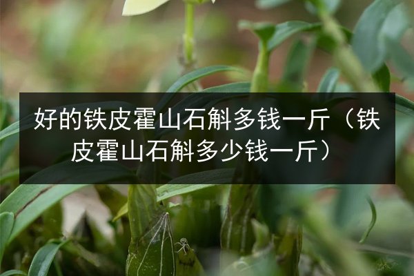 好的铁皮霍山石斛多钱一斤（铁皮霍山石斛多少钱一斤）