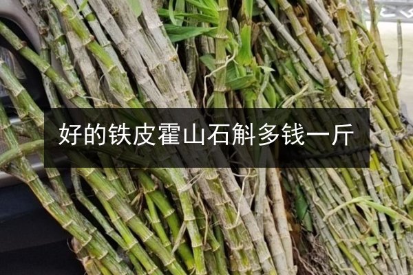 好的铁皮霍山石斛多钱一斤