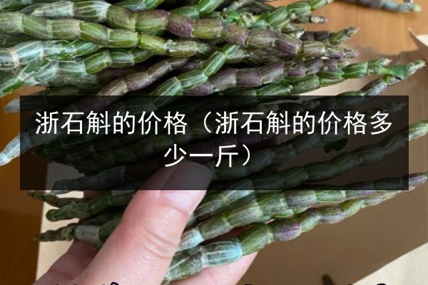 浙石斛的价格(浙石斛的价格多少一斤)