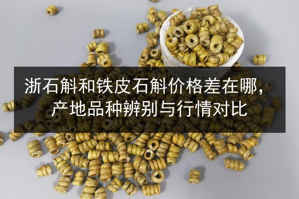 浙石斛和铁皮石斛价格差在哪,产地品种辨别与行情对比