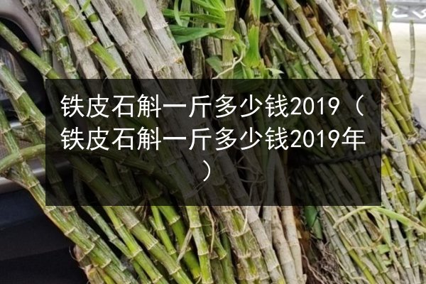 铁皮石斛一斤多少钱2019(铁皮石斛一斤多少钱2019年)