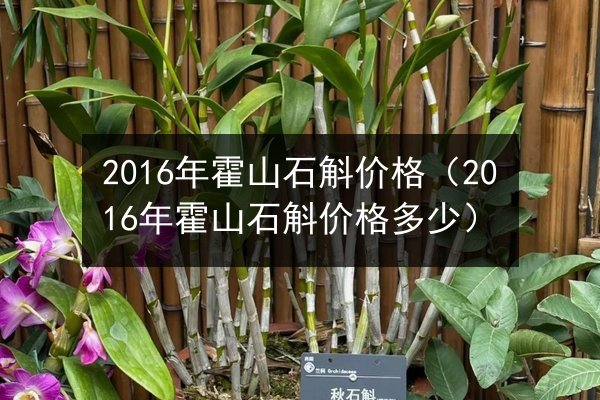 2016年霍山石斛价格(2016年霍山石斛价格多少)