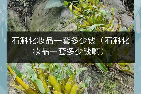石斛化妆品一套多少钱(石斛化妆品一套多少钱啊)