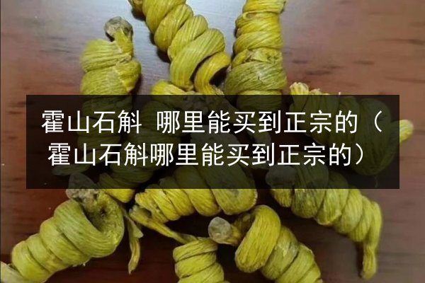 霍山石斛 哪里能买到正宗的(霍山石斛哪里能买到正宗的)