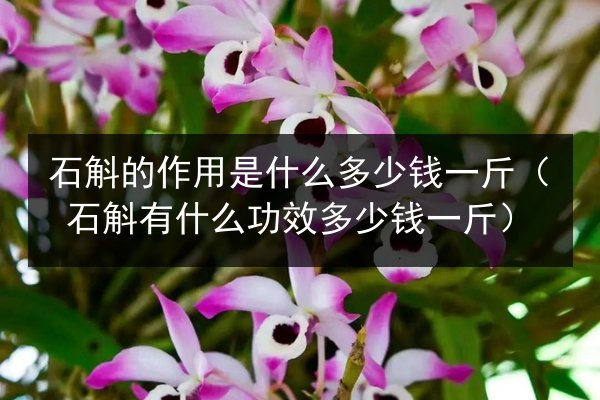 石斛的作用是什么多少钱一斤（石斛有什么功效多少钱一斤）