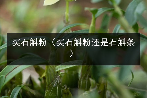 买石斛粉(买石斛粉还是石斛条)
