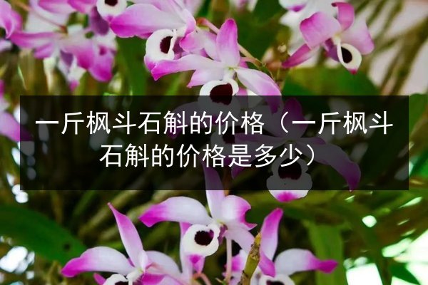 一斤枫斗石斛的价格(一斤枫斗石斛的价格是多少)