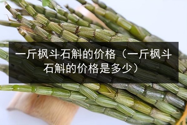 一斤枫斗石斛的价格(一斤枫斗石斛的价格是多少)
